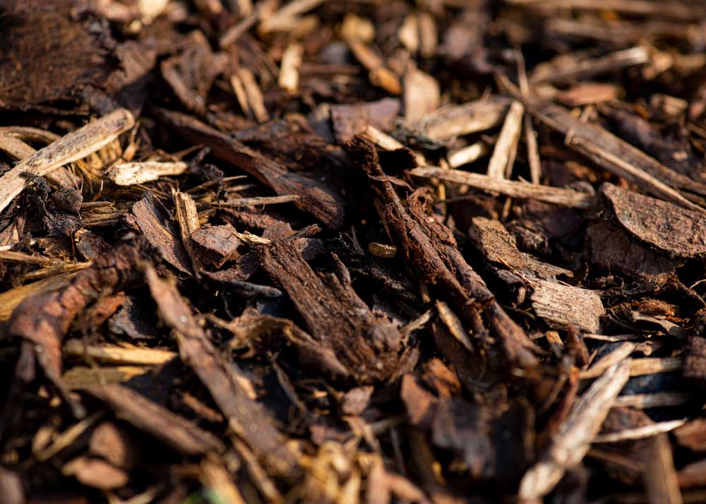 Brown Mulch