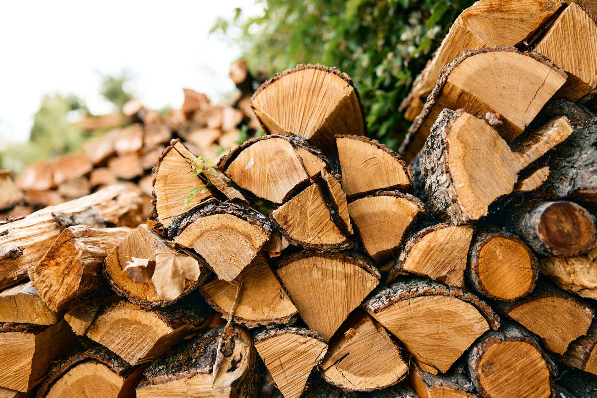 Firewood