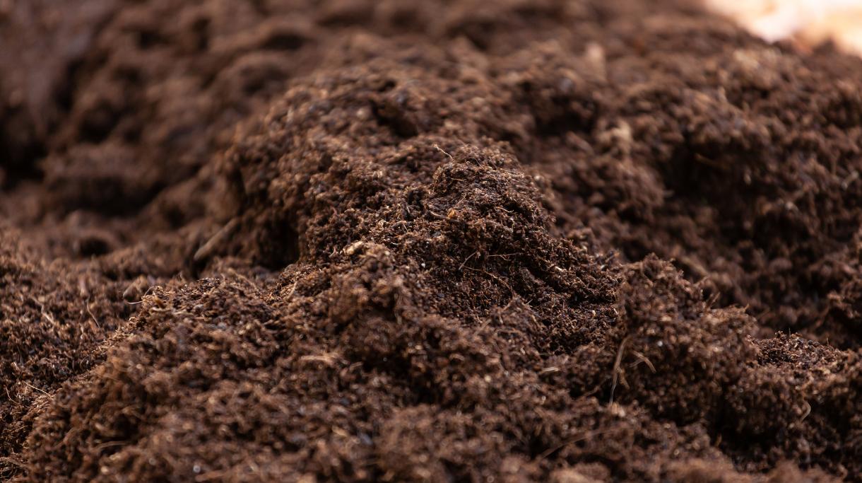 Topsoil